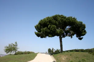 Nou Jardí Botànic, Barcelona