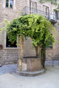 Well at the former hospital of Santa Creu, Barcelona