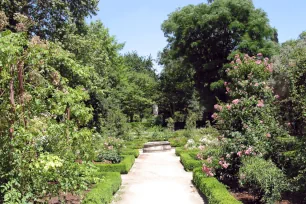 Royal Botanical Garden, Madrid