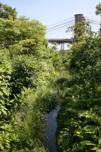 Brooklyn Bridge Park in Brooklyn, New York City