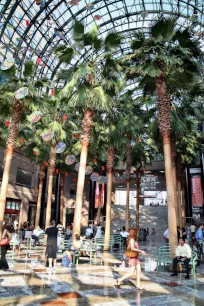 Winter Garden, Brookfield Place, Manhattan, New York