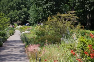 Heather Garden, Fort Tryon Park