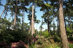 Parc Floral de Paris