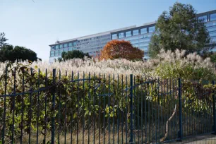 Garden in the Jardin Atlantique