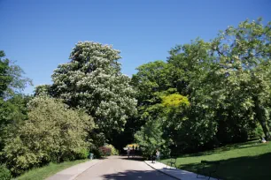 Path in the Parc des Buttes-Chaumont