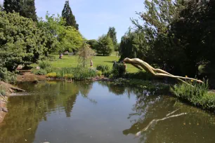 Pond in the Botanical Garden in Troja, Prague, Czechia