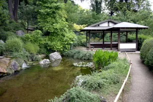 Japanese Garden, Botanical Garden, Rome