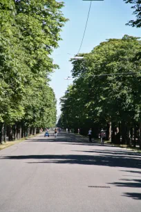 Hauptallee, Prater, Vienna