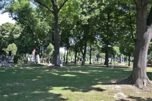 Tree-covered graves in Zentralfriedhof, Vienna